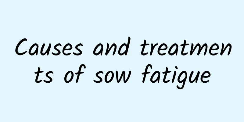 Causes and treatments of sow fatigue