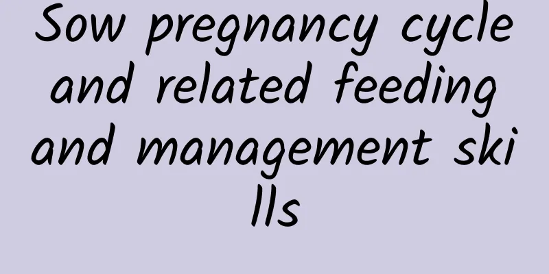 Sow pregnancy cycle and related feeding and management skills