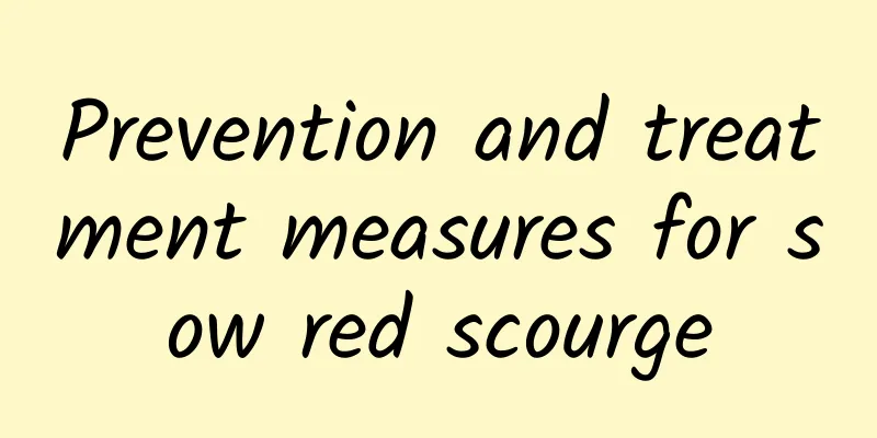 Prevention and treatment measures for sow red scourge
