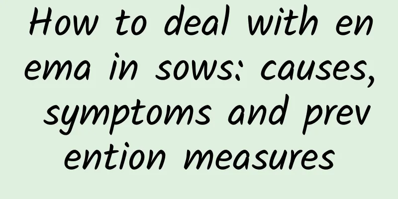 How to deal with enema in sows: causes, symptoms and prevention measures