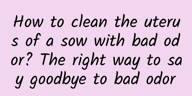 How to clean the uterus of a sow with bad odor? The right way to say goodbye to bad odor