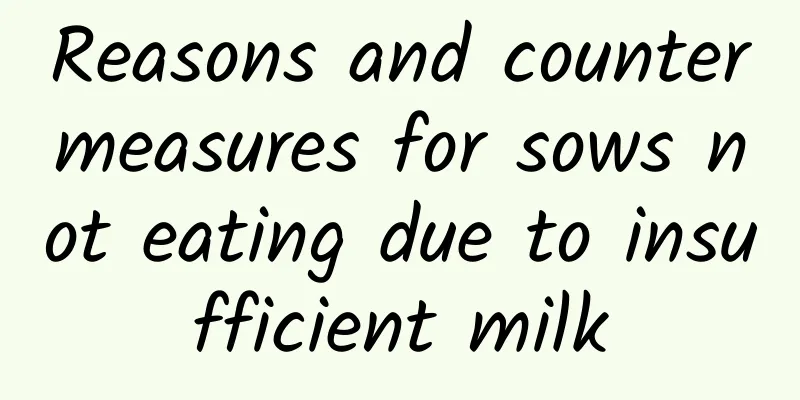 Reasons and countermeasures for sows not eating due to insufficient milk