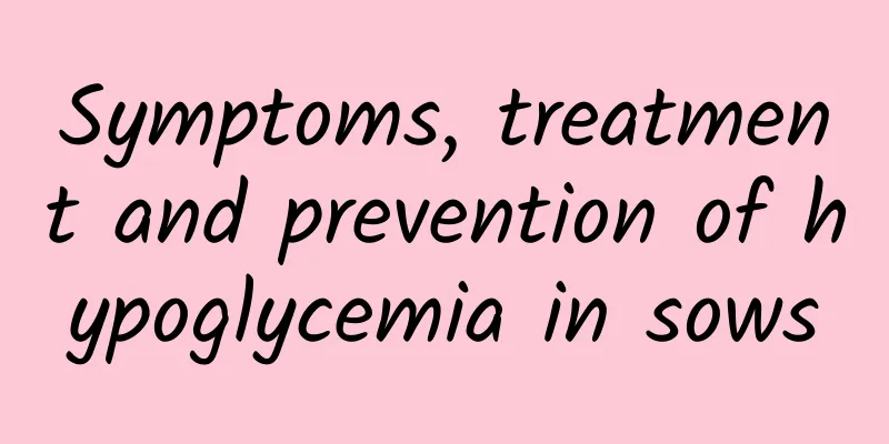 Symptoms, treatment and prevention of hypoglycemia in sows