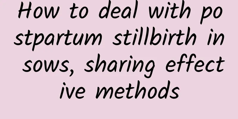 How to deal with postpartum stillbirth in sows, sharing effective methods