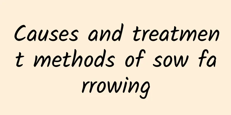 Causes and treatment methods of sow farrowing