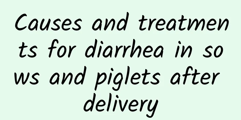 Causes and treatments for diarrhea in sows and piglets after delivery