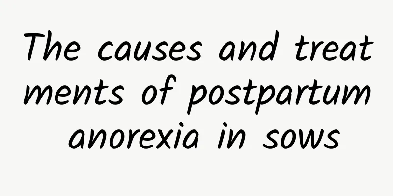 The causes and treatments of postpartum anorexia in sows