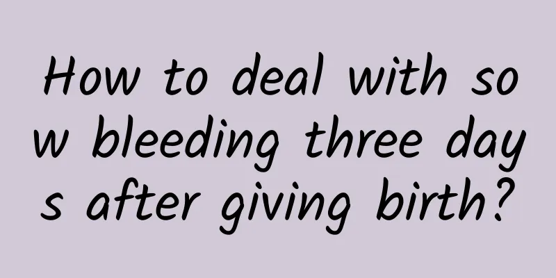 How to deal with sow bleeding three days after giving birth?