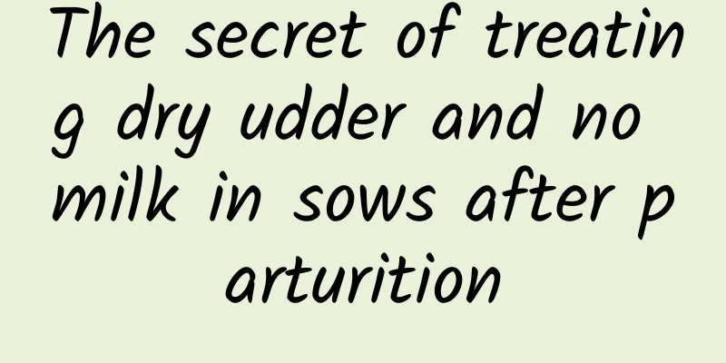 The secret of treating dry udder and no milk in sows after parturition