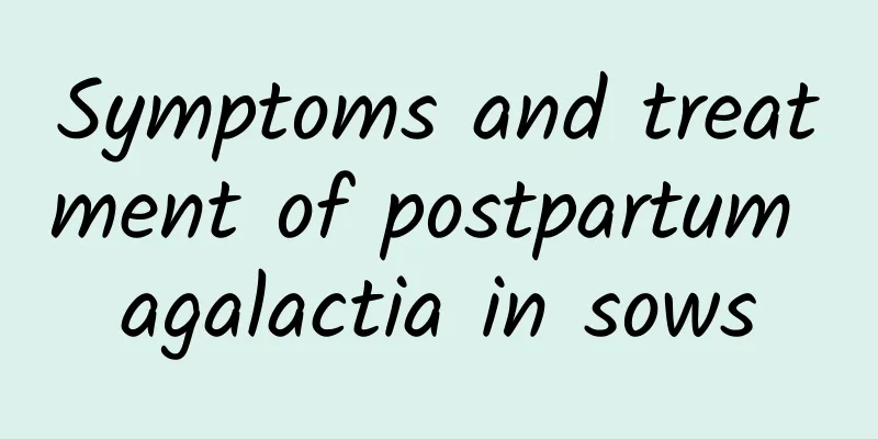 Symptoms and treatment of postpartum agalactia in sows
