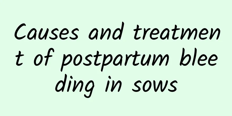 Causes and treatment of postpartum bleeding in sows