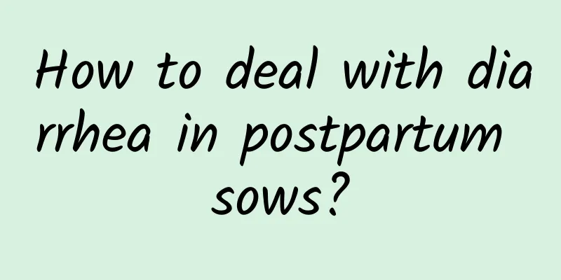 How to deal with diarrhea in postpartum sows?