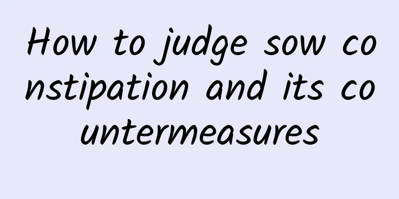 How to judge sow constipation and its countermeasures