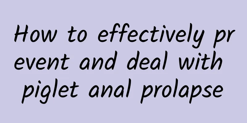 How to effectively prevent and deal with piglet anal prolapse