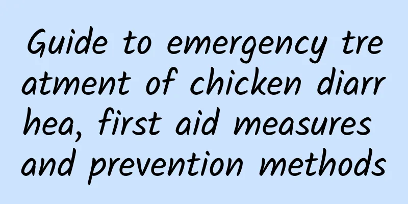 Guide to emergency treatment of chicken diarrhea, first aid measures and prevention methods
