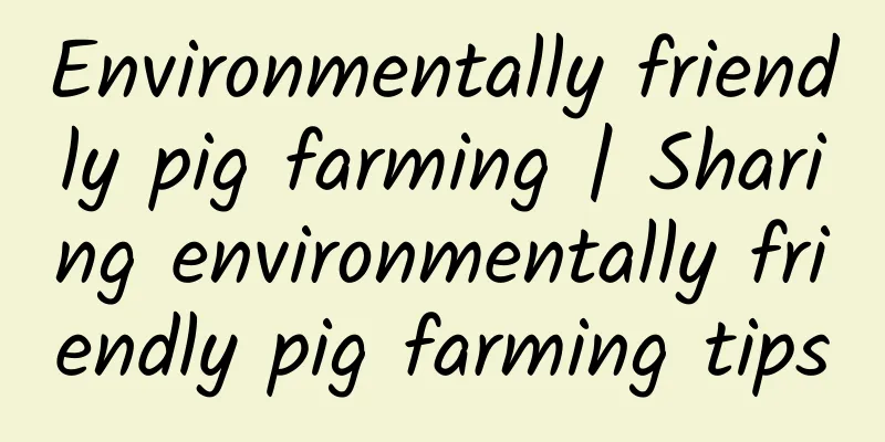 Environmentally friendly pig farming | Sharing environmentally friendly pig farming tips