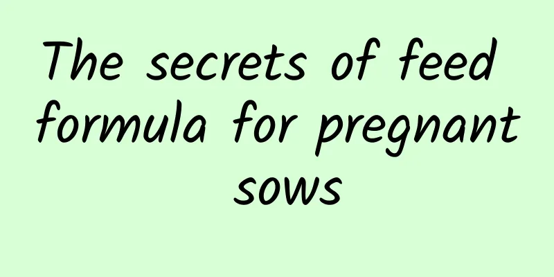 The secrets of feed formula for pregnant sows