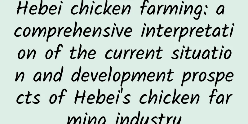 Hebei chicken farming: a comprehensive interpretation of the current situation and development prospects of Hebei's chicken farming industry
