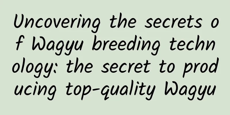 Uncovering the secrets of Wagyu breeding technology: the secret to producing top-quality Wagyu