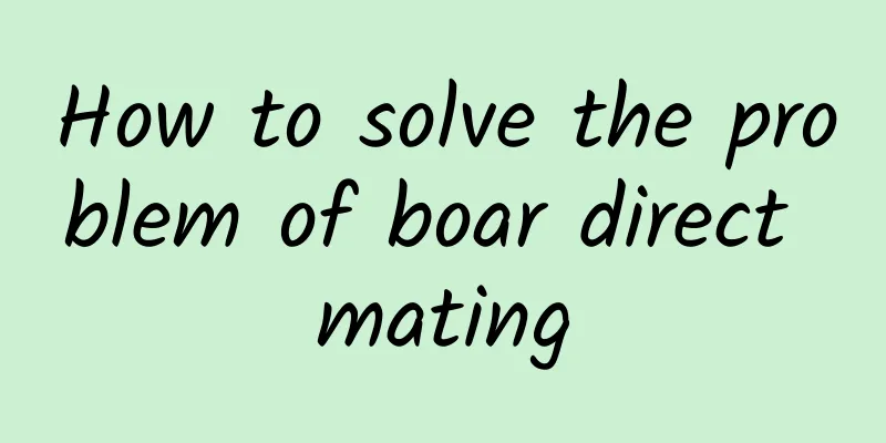 How to solve the problem of boar direct mating