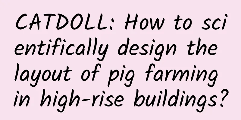 CATDOLL: How to scientifically design the layout of pig farming in high-rise buildings?