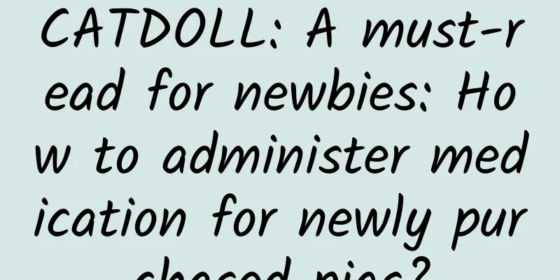 CATDOLL: A must-read for newbies: How to administer medication for newly purchased pigs?