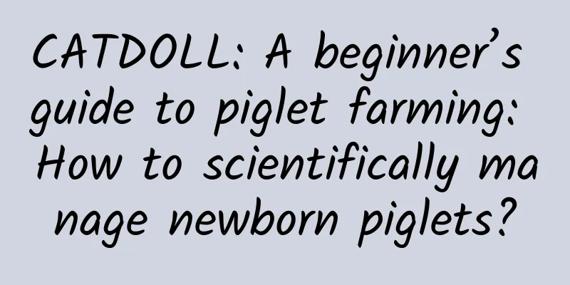 CATDOLL: A beginner’s guide to piglet farming: How to scientifically manage newborn piglets?