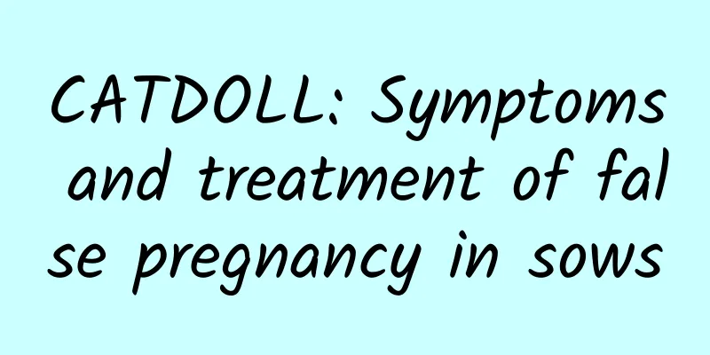 CATDOLL: Symptoms and treatment of false pregnancy in sows