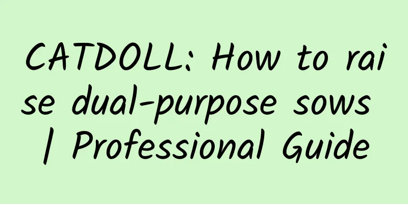 CATDOLL: How to raise dual-purpose sows | Professional Guide
