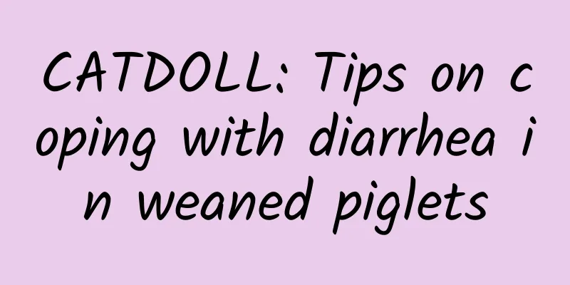 CATDOLL: Tips on coping with diarrhea in weaned piglets