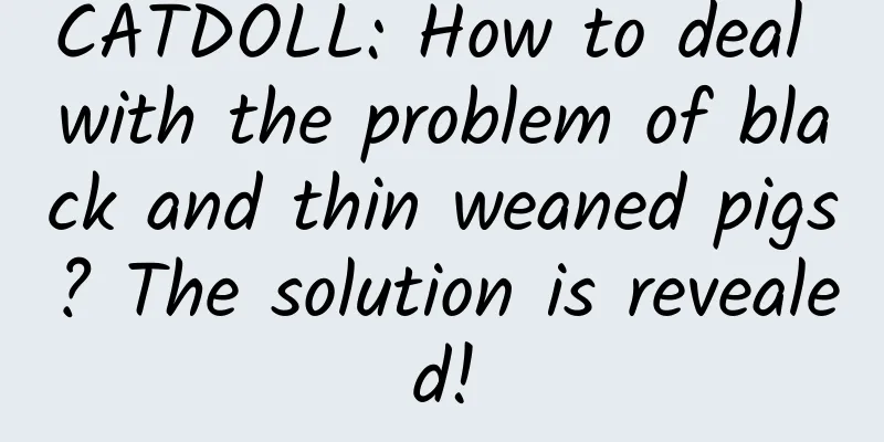 CATDOLL: How to deal with the problem of black and thin weaned pigs? The solution is revealed!