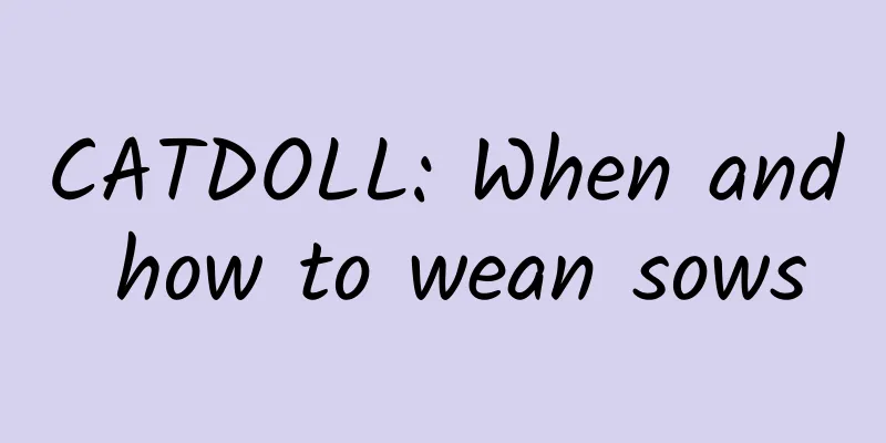CATDOLL: When and how to wean sows