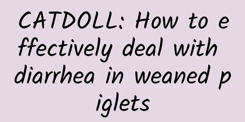 CATDOLL: How to effectively deal with diarrhea in weaned piglets