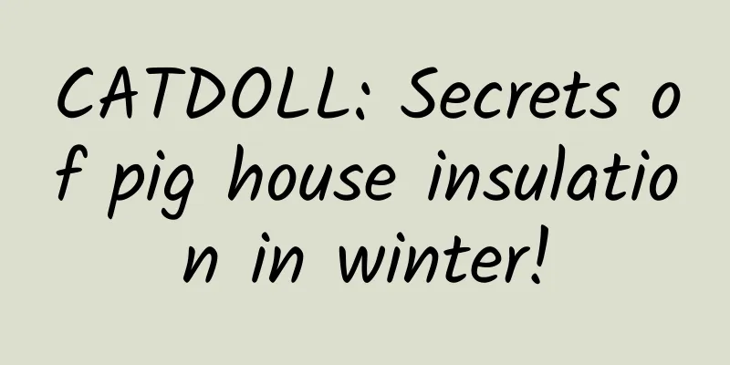 CATDOLL: Secrets of pig house insulation in winter!