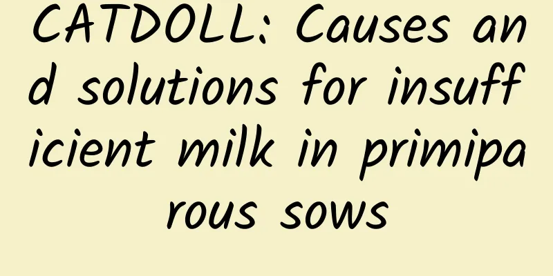 CATDOLL: Causes and solutions for insufficient milk in primiparous sows