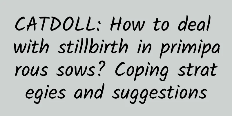 CATDOLL: How to deal with stillbirth in primiparous sows? Coping strategies and suggestions