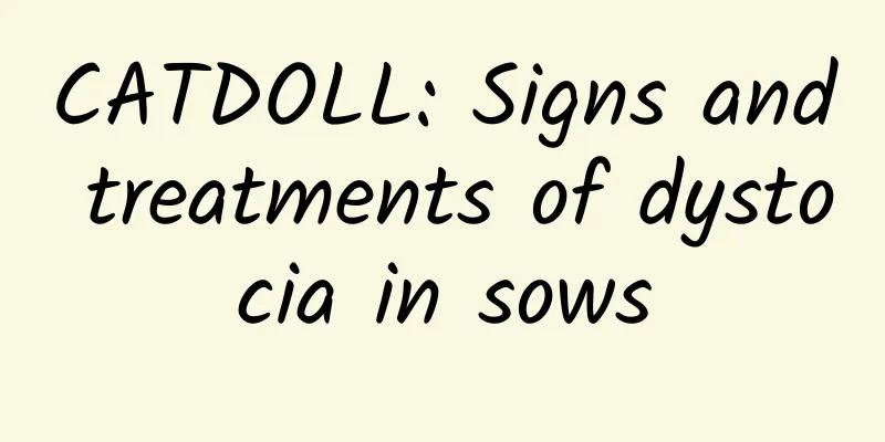 CATDOLL: Signs and treatments of dystocia in sows