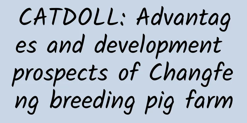 CATDOLL: Advantages and development prospects of Changfeng breeding pig farm