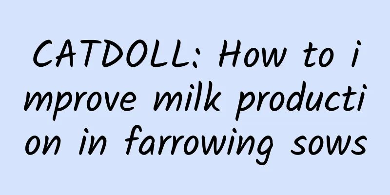 CATDOLL: How to improve milk production in farrowing sows
