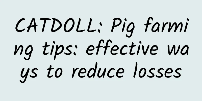 CATDOLL: Pig farming tips: effective ways to reduce losses