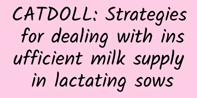 CATDOLL: Strategies for dealing with insufficient milk supply in lactating sows