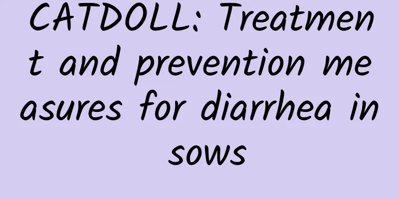 CATDOLL: Treatment and prevention measures for diarrhea in sows