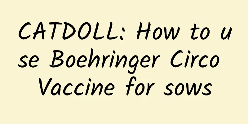 CATDOLL: How to use Boehringer Circo Vaccine for sows