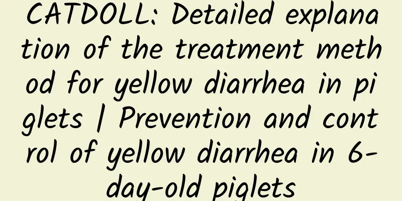 CATDOLL: Detailed explanation of the treatment method for yellow diarrhea in piglets | Prevention and control of yellow diarrhea in 6-day-old piglets