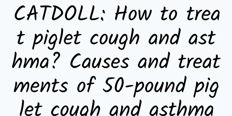 CATDOLL: How to treat piglet cough and asthma? Causes and treatments of 50-pound piglet cough and asthma