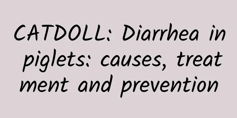 CATDOLL: Diarrhea in piglets: causes, treatment and prevention