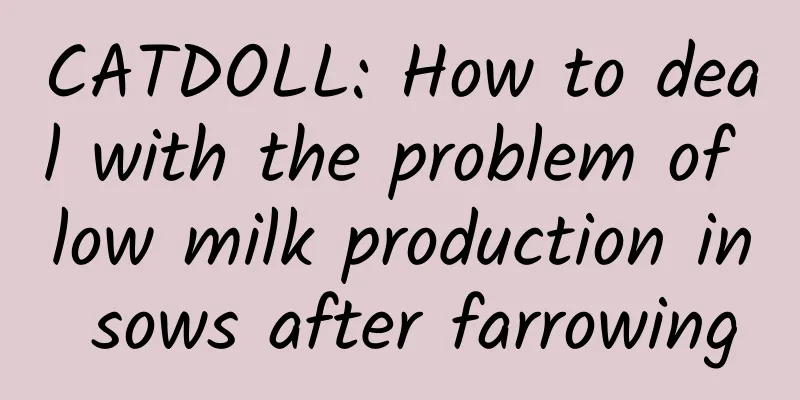 CATDOLL: How to deal with the problem of low milk production in sows after farrowing