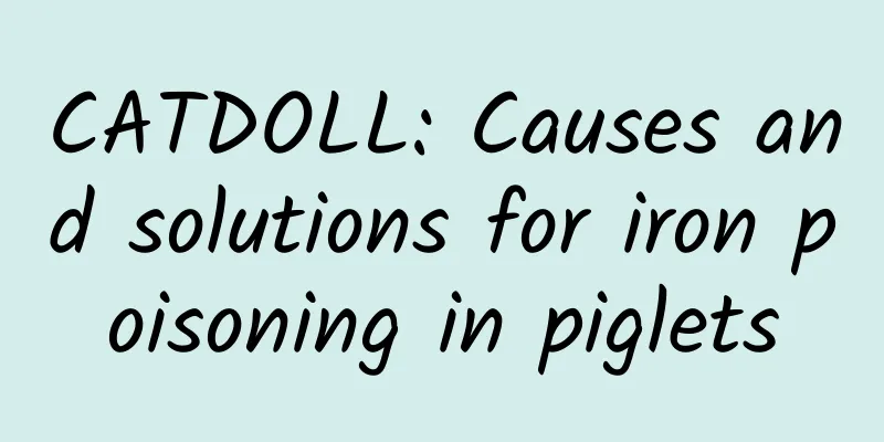 CATDOLL: Causes and solutions for iron poisoning in piglets