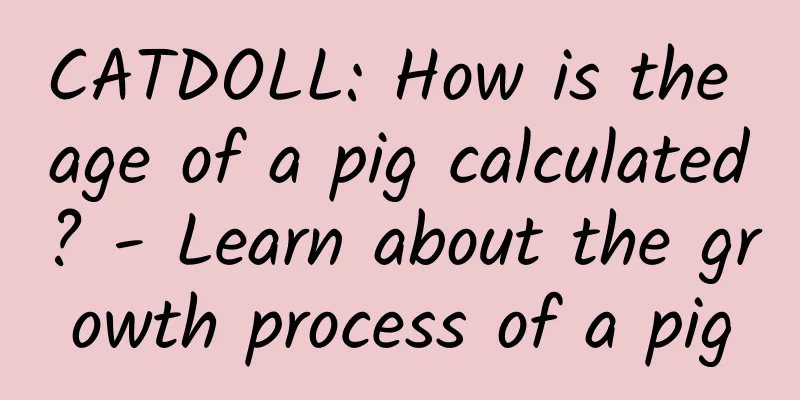 CATDOLL: How is the age of a pig calculated? - Learn about the growth process of a pig