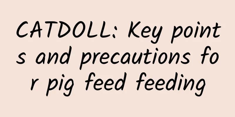 CATDOLL: Key points and precautions for pig feed feeding
